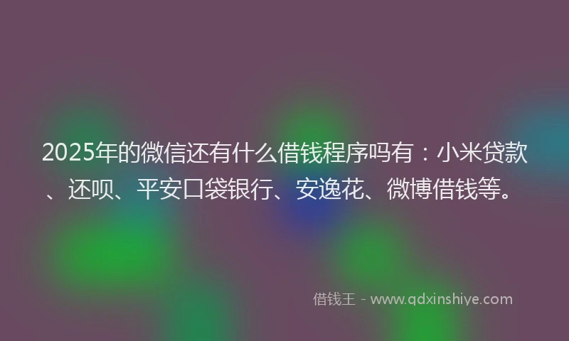 2025年的微信还有什么借钱程序吗有：小米贷款、还呗、平安口袋银行、安逸花、微博借钱等。