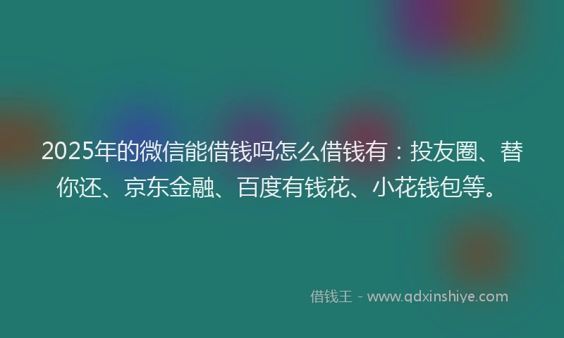 2025年的微信能借钱吗怎么借钱有：投友圈、替你还、京东金融、百度有钱花、小花钱包等。
