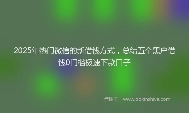 2025年热门微信的新借钱方式，总结五个黑户借钱0门槛极速下款口子