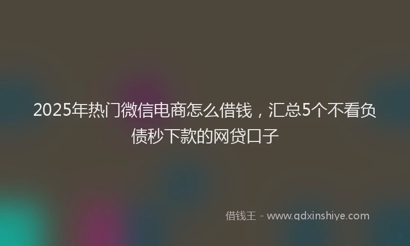 2025年热门微信电商怎么借钱，汇总5个不看负债秒下款的网贷口子