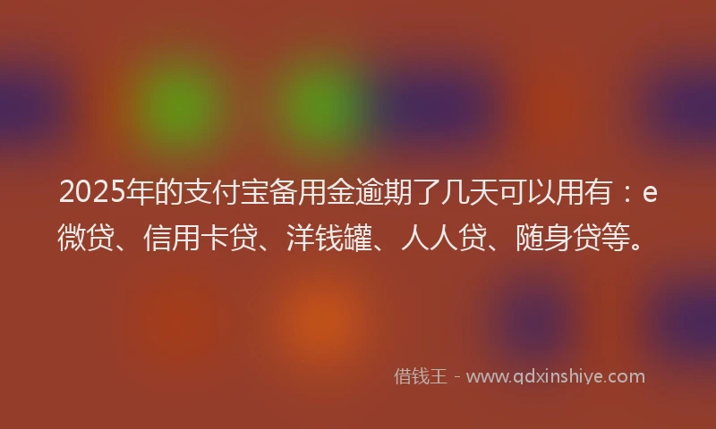 2025年的支付宝备用金逾期了几天可以用有：e微贷、信用卡贷、洋钱罐、人人贷、随身贷等。