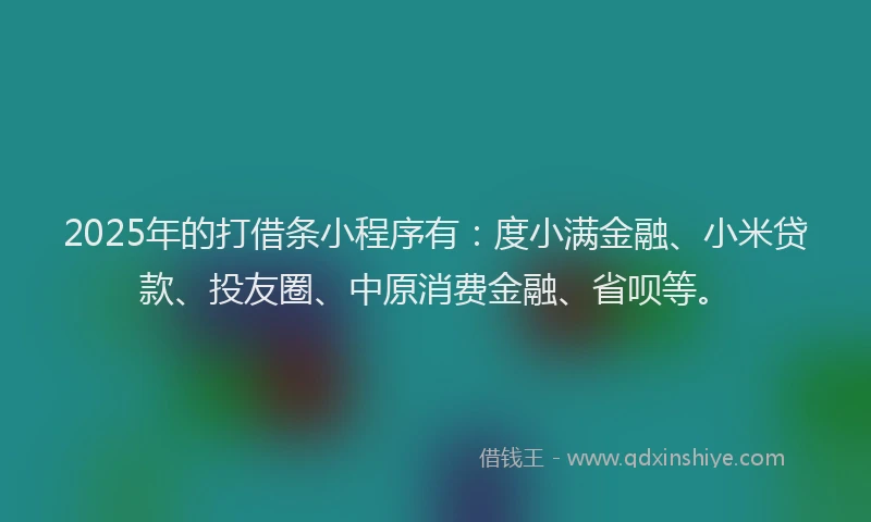 2025年的打借条小程序有：度小满金融、小米贷款、投友圈、中原消费金融、省呗等。