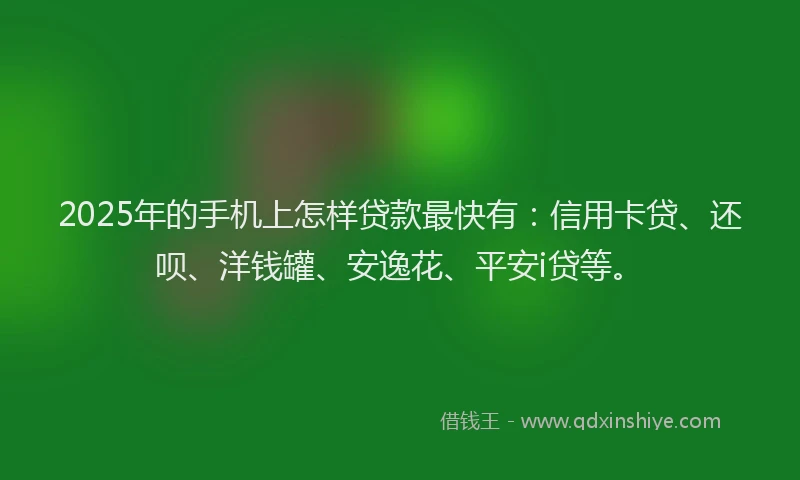 2025年的手机上怎样贷款最快有：信用卡贷、还呗、洋钱罐、安逸花、平安i贷等。