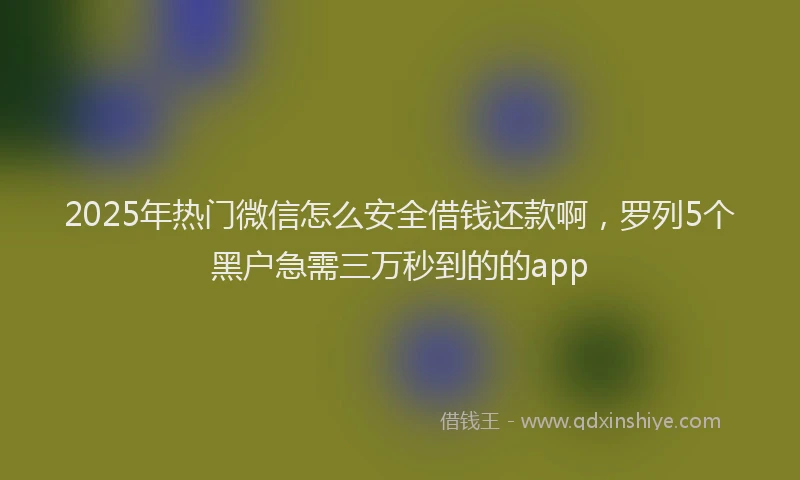 2025年热门微信怎么安全借钱还款啊，罗列5个黑户急需三万秒到的的app