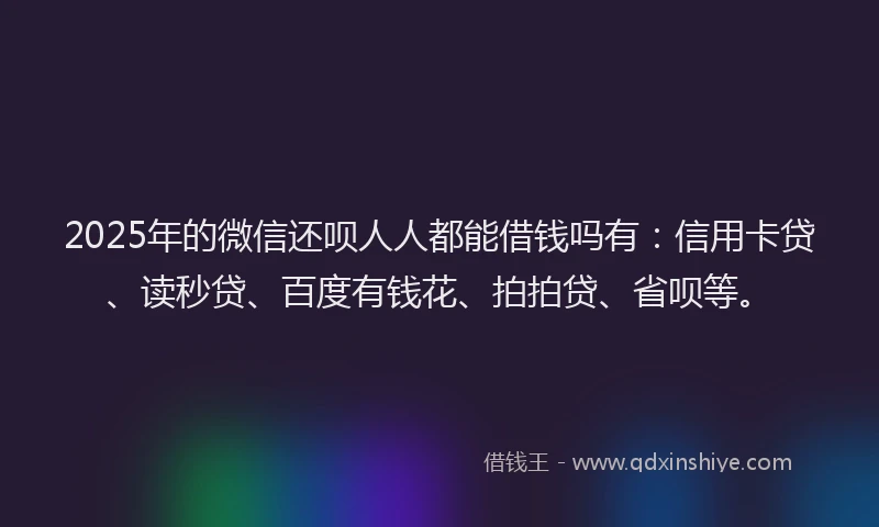 2025年的微信还呗人人都能借钱吗有：信用卡贷、读秒贷、百度有钱花、拍拍贷、省呗等。