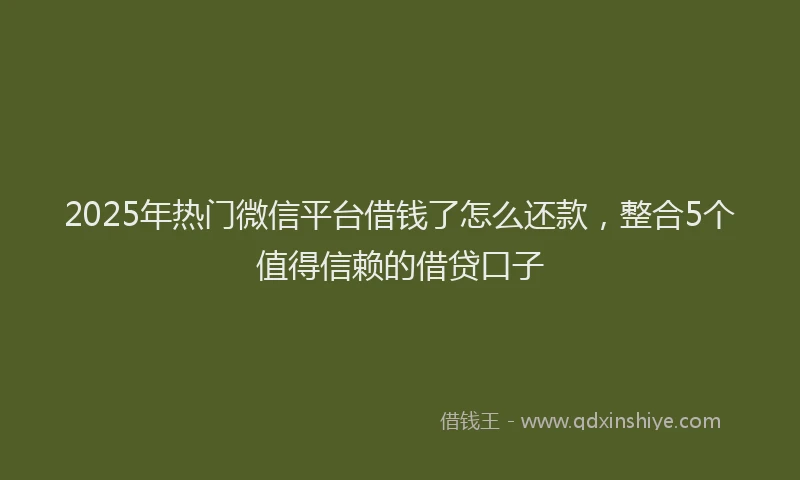 2025年热门微信平台借钱了怎么还款，整合5个值得信赖的借贷口子