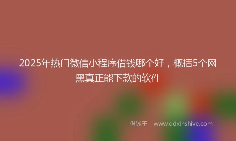 2025年热门微信小程序借钱哪个好，概括5个网黑真正能下款的软件