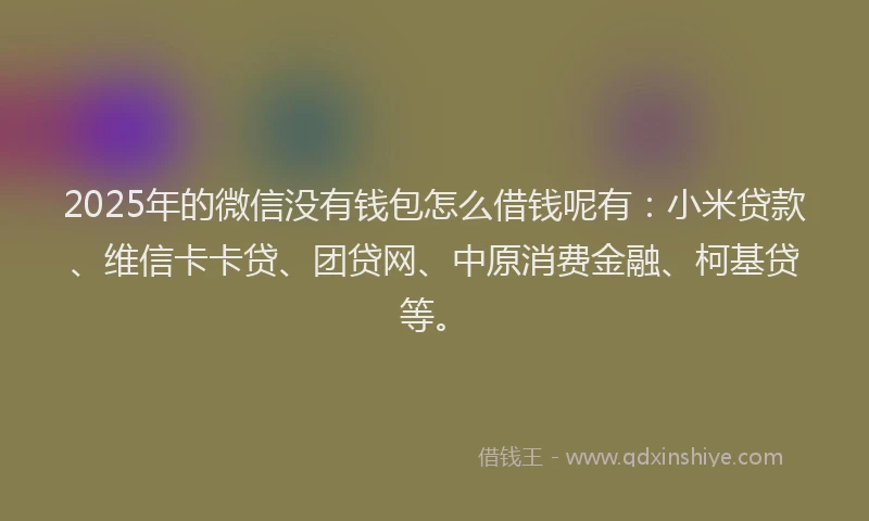2025年的微信没有钱包怎么借钱呢有：小米贷款、维信卡卡贷、团贷网、中原消费金融、柯基贷等。