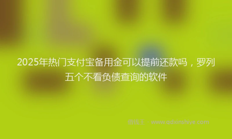2025年热门支付宝备用金可以提前还款吗，罗列五个不看负债查询的软件