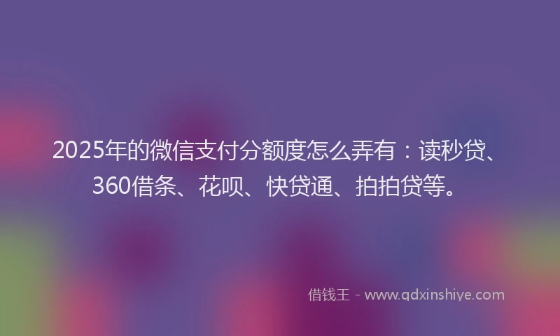 2025年的微信支付分额度怎么弄有：读秒贷、360借条、花呗、快贷通、拍拍贷等。