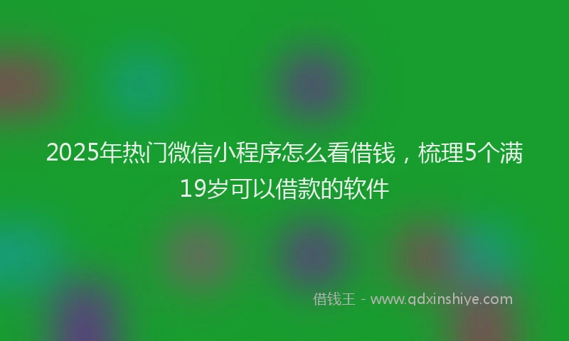 2025年热门微信小程序怎么看借钱，梳理5个满19岁可以借款的软件