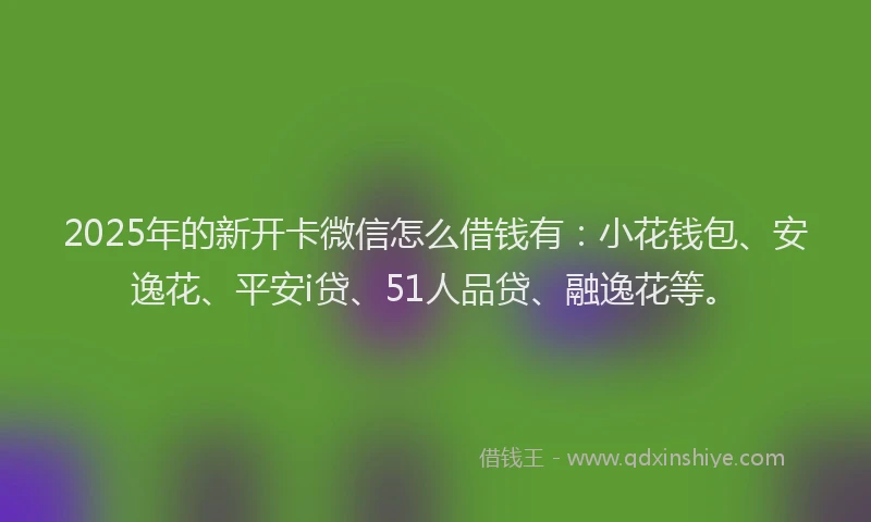 2025年的新开卡微信怎么借钱有：小花钱包、安逸花、平安i贷、51人品贷、融逸花等。