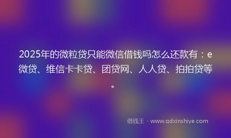 2025年的微粒贷只能微信借钱吗怎么还款有：e微贷、维信卡卡贷、团贷网、人人贷、拍拍贷等。