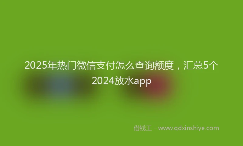 2025年热门微信支付怎么查询额度，汇总5个2024放水app