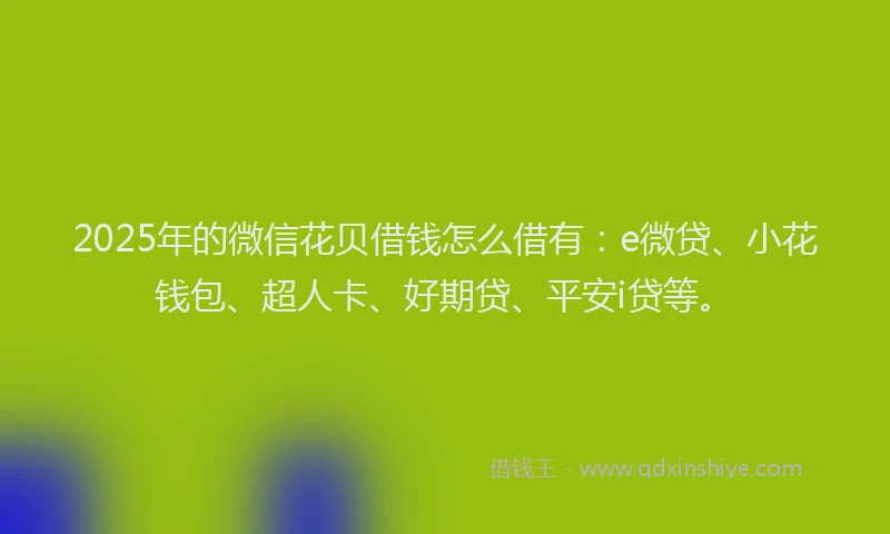 2025年的微信花贝借钱怎么借有：e微贷、小花钱包、超人卡、好期贷、平安i贷等。