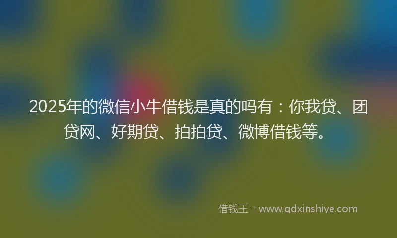 2025年的微信小牛借钱是真的吗有：你我贷、团贷网、好期贷、拍拍贷、微博借钱等。