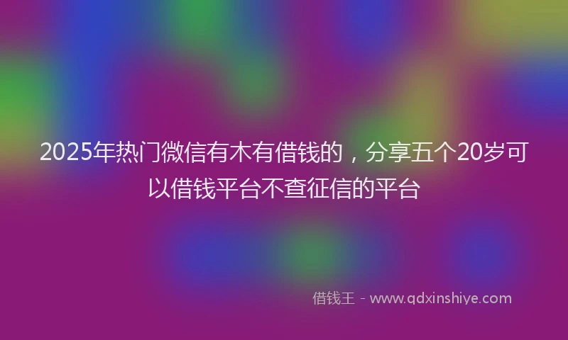 2025年热门微信有木有借钱的，分享五个20岁可以借钱平台不查征信的平台