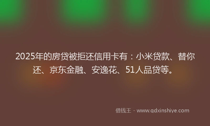 2025年的房贷被拒还信用卡有：小米贷款、替你还、京东金融、安逸花、51人品贷等。