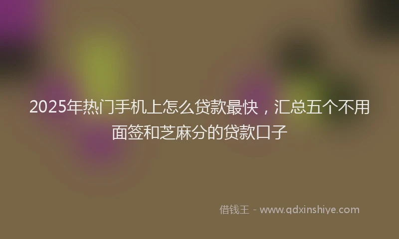 2025年热门手机上怎么贷款最快，汇总五个不用面签和芝麻分的贷款口子