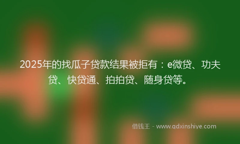 2025年的找瓜子贷款结果被拒有：e微贷、功夫贷、快贷通、拍拍贷、随身贷等。
