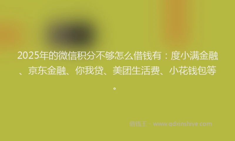 2025年的微信积分不够怎么借钱有：度小满金融、京东金融、你我贷、美团生活费、小花钱包等。
