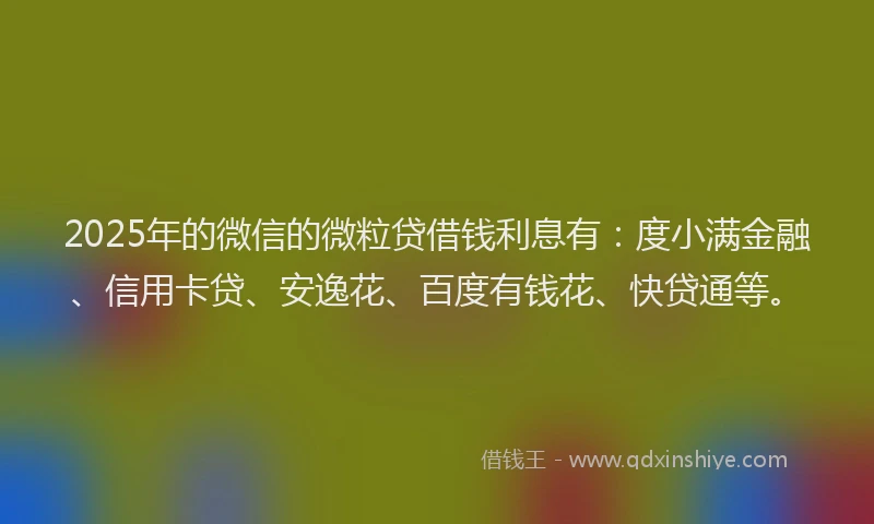 2025年的微信的微粒贷借钱利息有：度小满金融、信用卡贷、安逸花、百度有钱花、快贷通等。