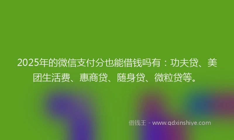 2025年的微信支付分也能借钱吗有：功夫贷、美团生活费、惠商贷、随身贷、微粒贷等。