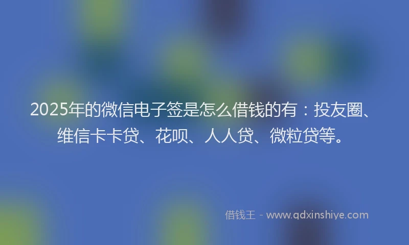 2025年的微信电子签是怎么借钱的有：投友圈、维信卡卡贷、花呗、人人贷、微粒贷等。