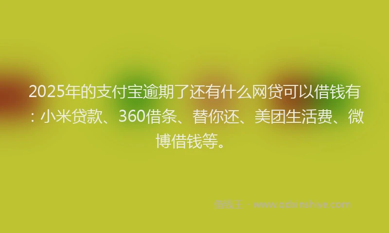 2025年的支付宝逾期了还有什么网贷可以借钱有：小米贷款、360借条、替你还、美团生活费、微博借钱等。