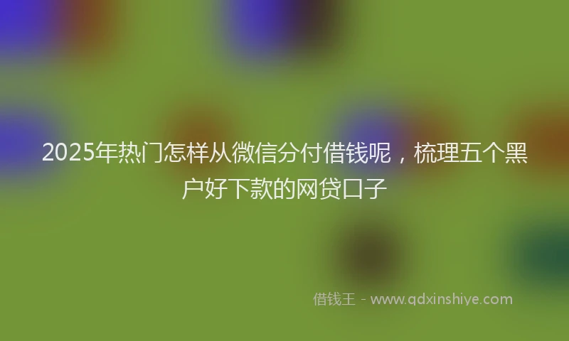 2025年热门怎样从微信分付借钱呢，梳理五个黑户好下款的网贷口子
