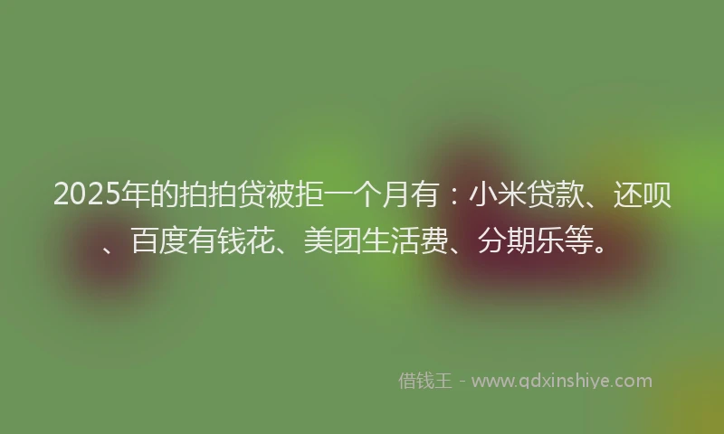 2025年的拍拍贷被拒一个月有：小米贷款、还呗、百度有钱花、美团生活费、分期乐等。