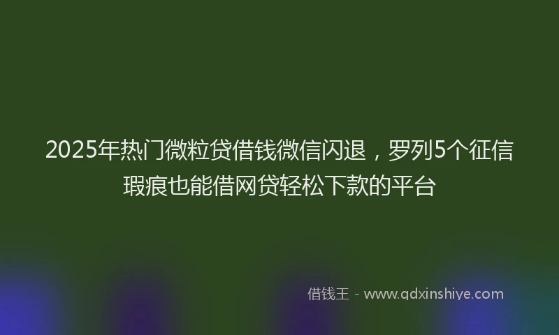 2025年热门微粒贷借钱微信闪退，罗列5个征信瑕疵也能借网贷轻松下款的平台