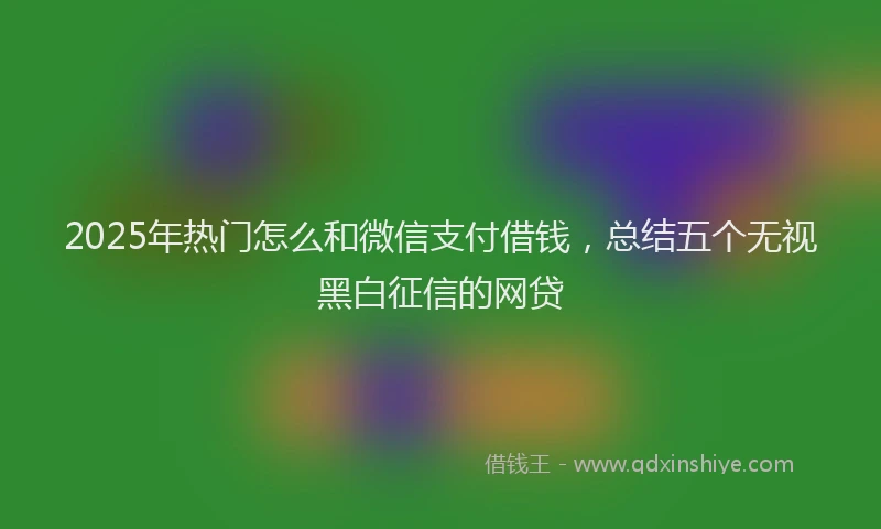 2025年热门怎么和微信支付借钱，总结五个无视黑白征信的网贷