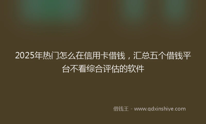 2025年热门怎么在信用卡借钱，汇总五个借钱平台不看综合评估的软件