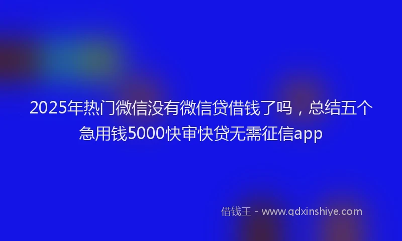 2025年热门微信没有微信贷借钱了吗，总结五个急用钱5000快审快贷无需征信app