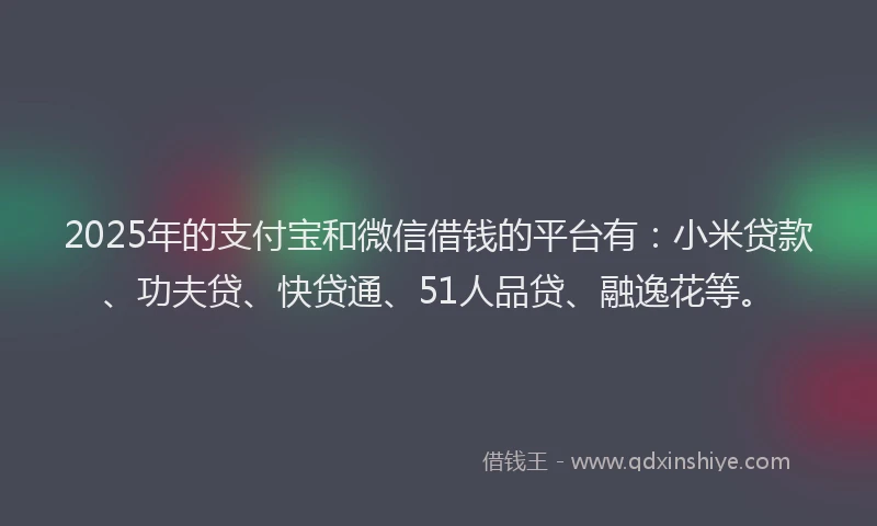 2025年的支付宝和微信借钱的平台有：小米贷款、功夫贷、快贷通、51人品贷、融逸花等。