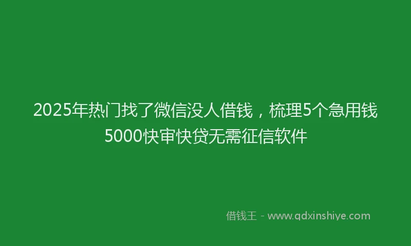 2025年热门找了微信没人借钱，梳理5个急用钱5000快审快贷无需征信软件