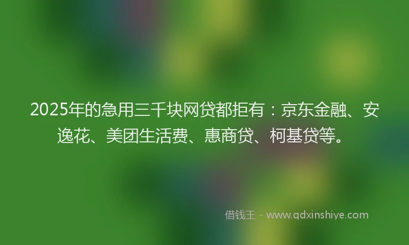 2025年的急用三千块网贷都拒有：京东金融、安逸花、美团生活费、惠商贷、柯基贷等。