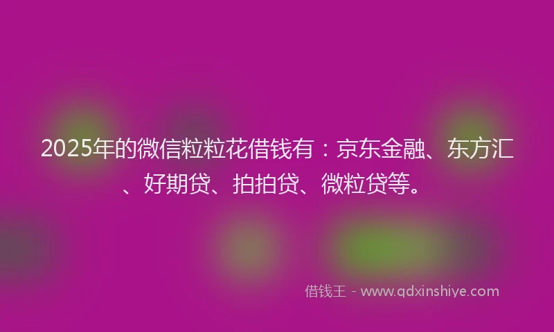 2025年的微信粒粒花借钱有：京东金融、东方汇、好期贷、拍拍贷、微粒贷等。