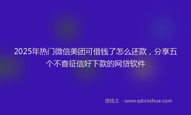2025年热门微信美团可借钱了怎么还款，分享五个不查征信好下款的网贷软件