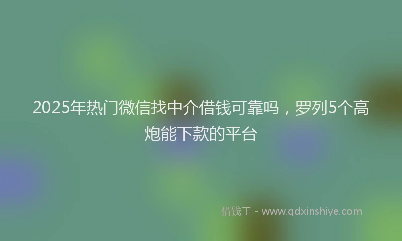 2025年热门微信找中介借钱可靠吗，罗列5个高炮能下款的平台