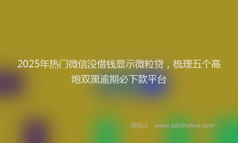 2025年热门微信没借钱显示微粒贷，梳理五个高炮双黑逾期必下款平台