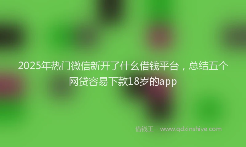 2025年热门微信新开了什幺借钱平台，总结五个网贷容易下款18岁的app