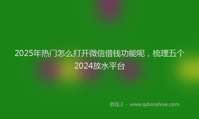 2025年热门怎么打开微信借钱功能呢，梳理五个2024放水平台