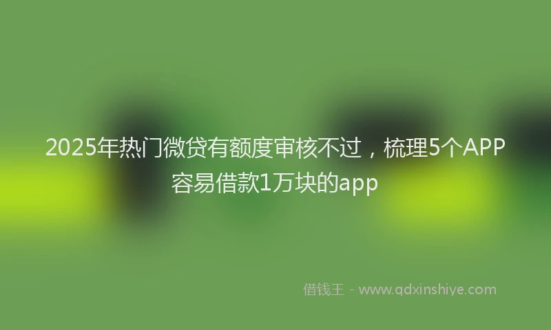 2025年热门微贷有额度审核不过，梳理5个APP容易借款1万块的app