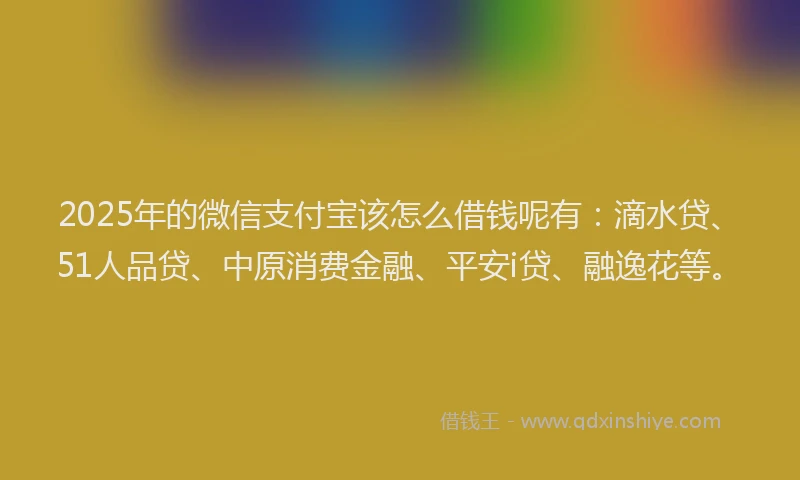 2025年的微信支付宝该怎么借钱呢有：滴水贷、51人品贷、中原消费金融、平安i贷、融逸花等。
