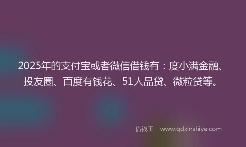 2025年的支付宝或者微信借钱有：度小满金融、投友圈、百度有钱花、51人品贷、微粒贷等。