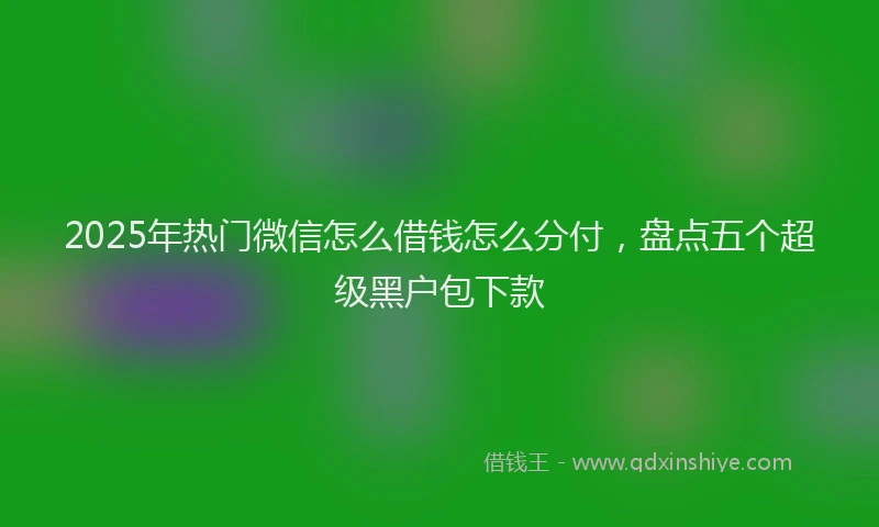 2025年热门微信怎么借钱怎么分付，盘点五个超级黑户包下款