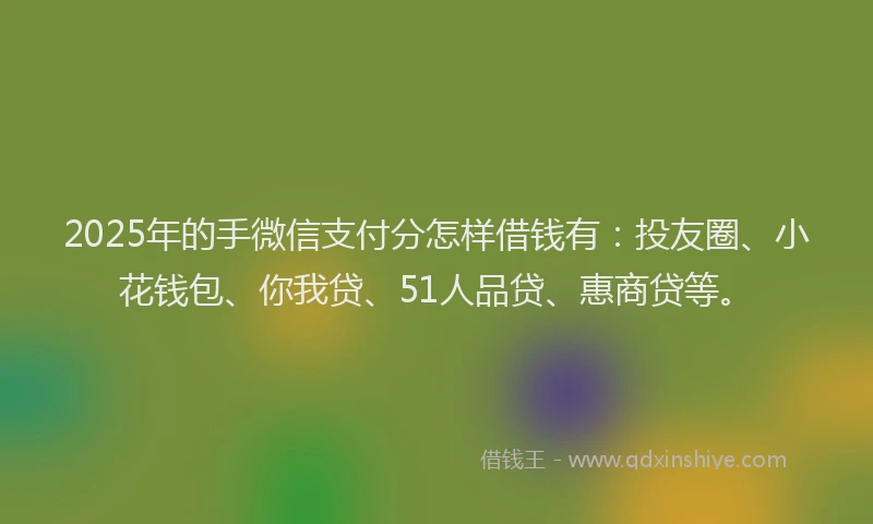 2025年的手微信支付分怎样借钱有：投友圈、小花钱包、你我贷、51人品贷、惠商贷等。