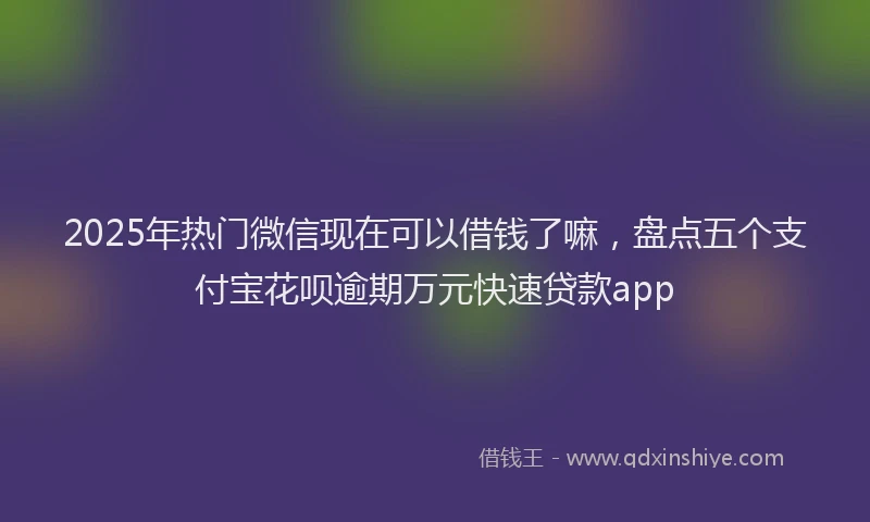 2025年热门微信现在可以借钱了嘛，盘点五个支付宝花呗逾期万元快速贷款app